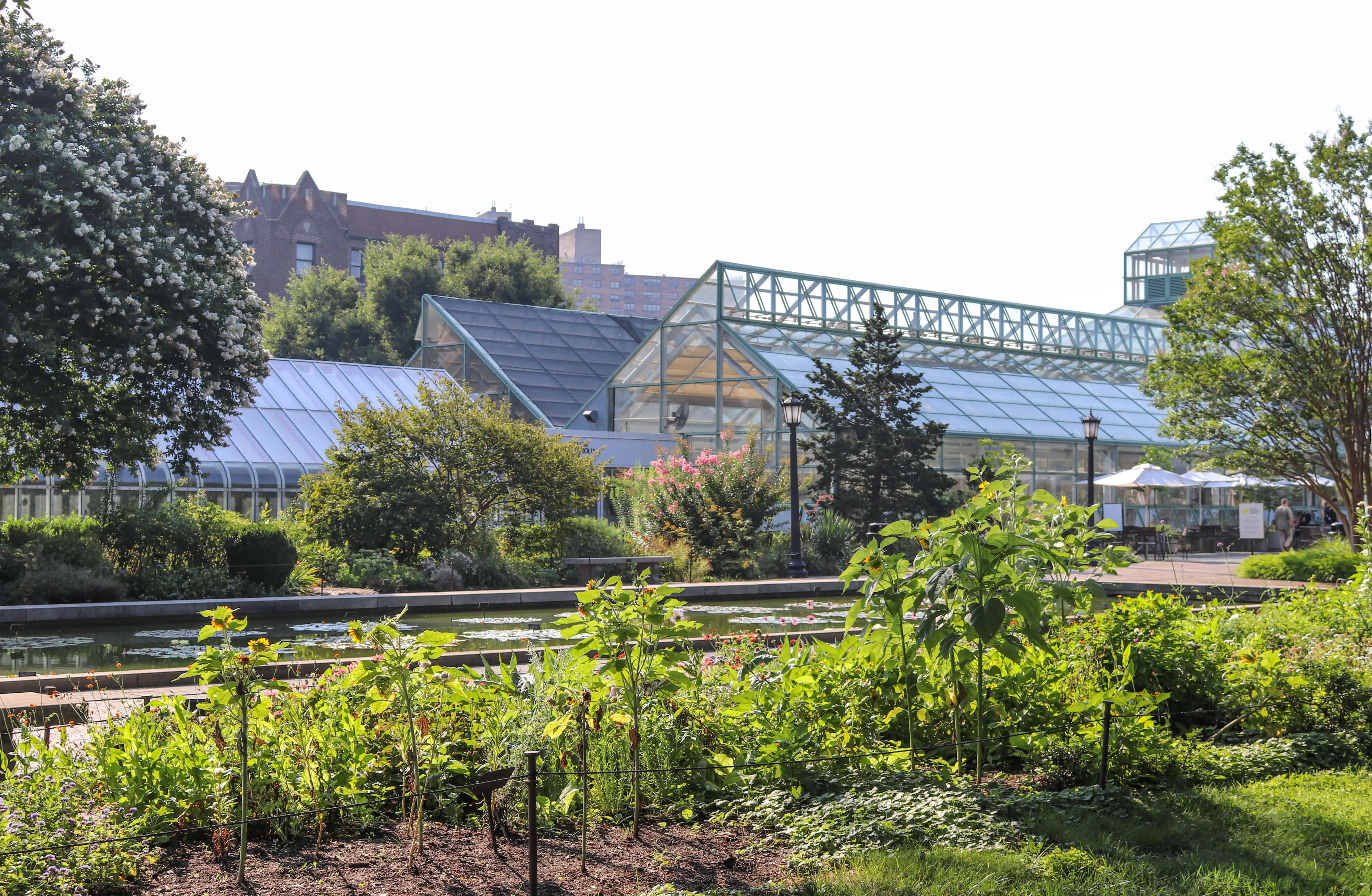 Indoor exhibit at Brooklyn Botanic Garden explaining sunlight/shadow threat.